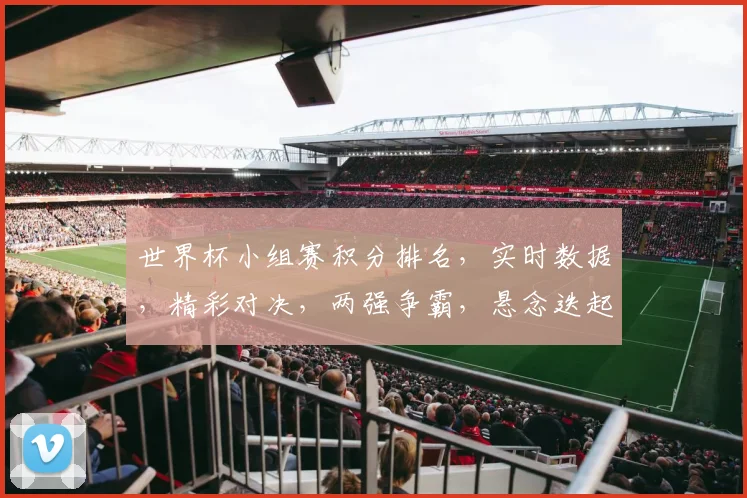 世界杯小组赛积分排名，实时数据，精彩对决，两强争霸，悬念迭起