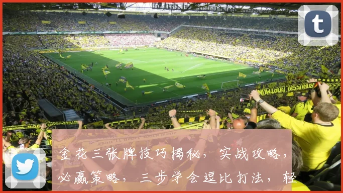 金花三张牌技巧揭秘，实战攻略，必赢策略，三步学会逗比打法，轻松赢牌